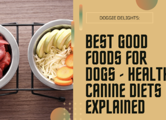 Best Good Foods For Dogs - Healthy Canine Diets